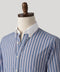 Royal Blue Stripe Contrast Collar Poplin Shirt
