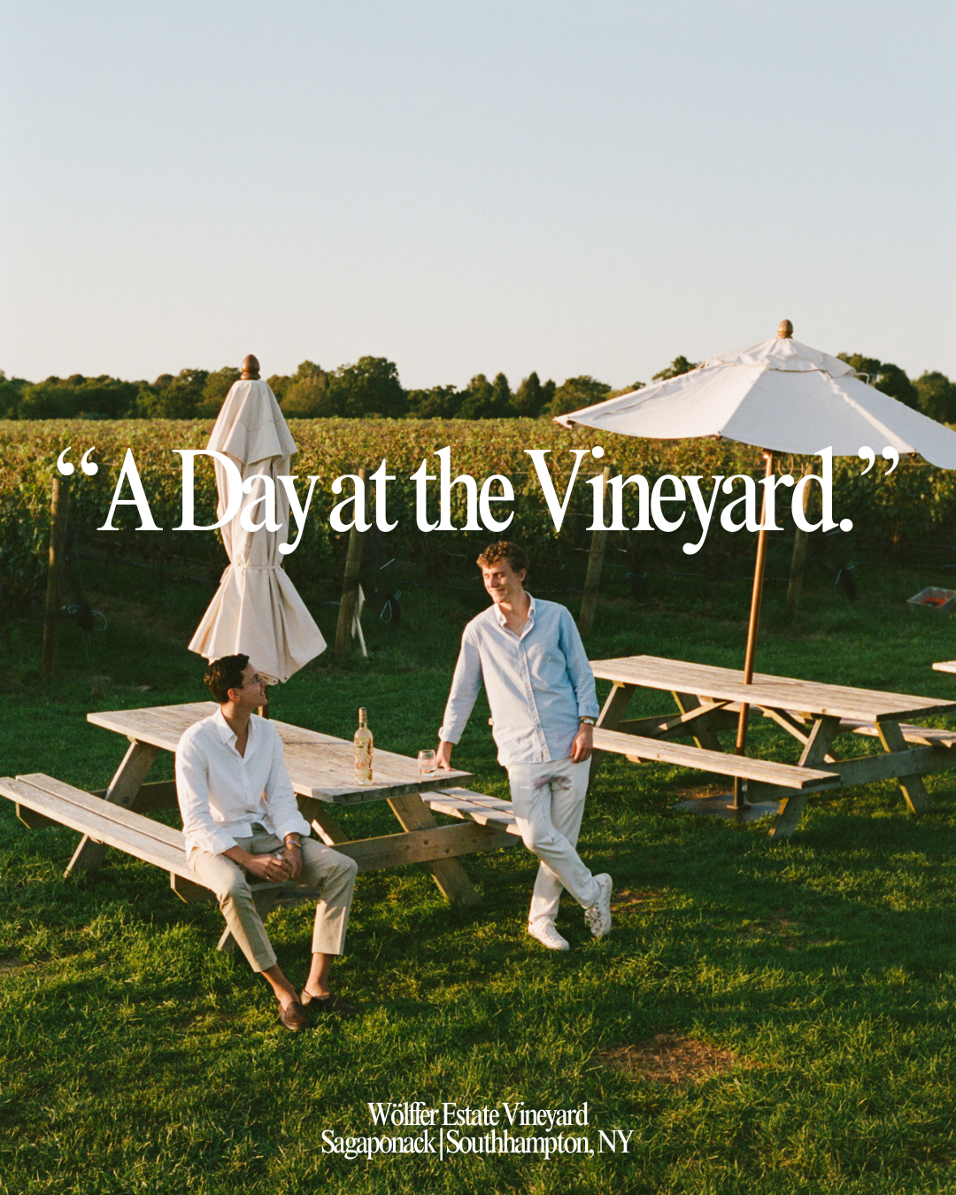 "A Day At The Vineyard."