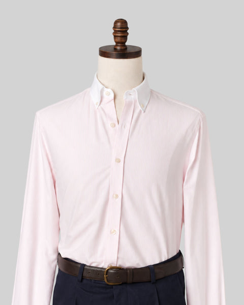 Pink Stripe Contrast Collar Oxford Shirt