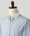 Light Blue Stripe Contrast Collar Poplin Shirt