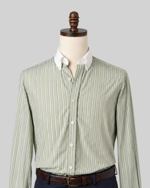 Pistachio Stripe Contrast Collar Poplin Shirt