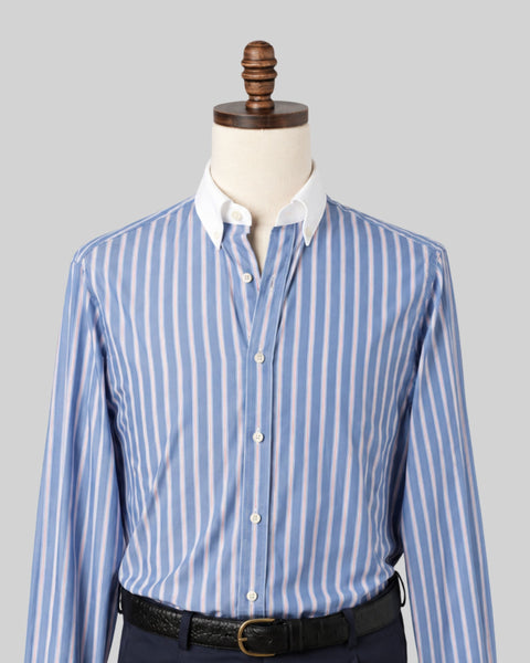 Royal Blue Stripe Contrast Collar Poplin Shirt