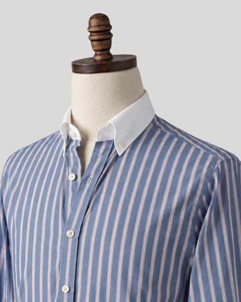 Royal Blue Stripe Contrast Collar Poplin Shirt