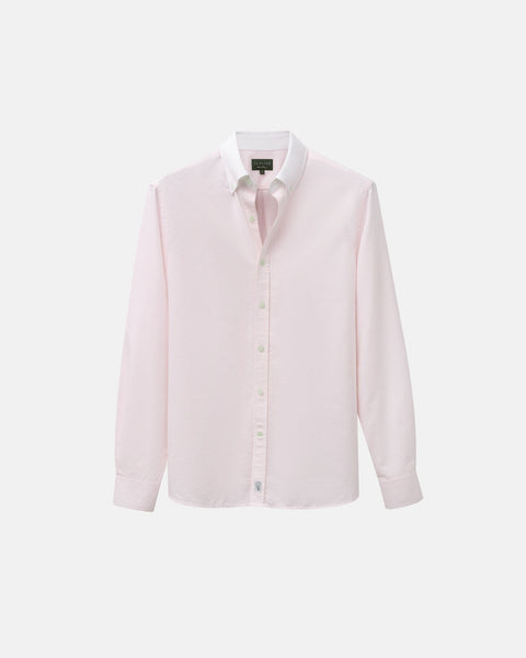 Pink Stripe Contrast Collar Oxford Shirt