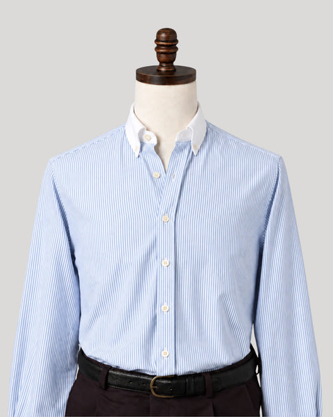 Blue Stripe Contrast Collar Oxford Shirt