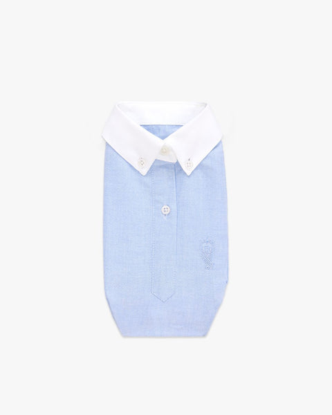 Contrast Collar Oxford Shirt (Limited Edition Wine Cover)